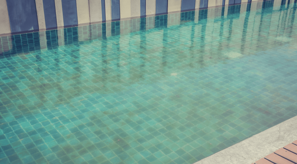before-pool-cleaning-1